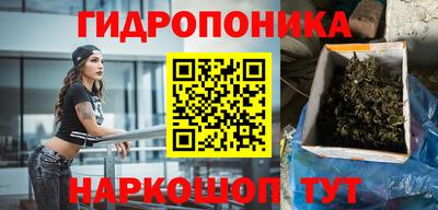 винт Гай