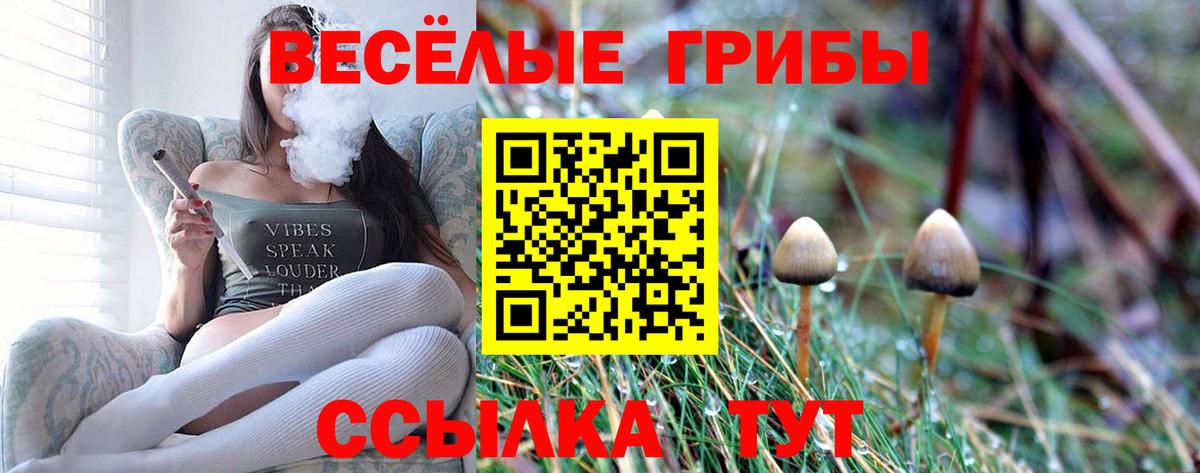 Галлюциногенные грибы Magic Shrooms  Псилоцибиновые грибы мухоморы  Вход с VPN  Каспийск 