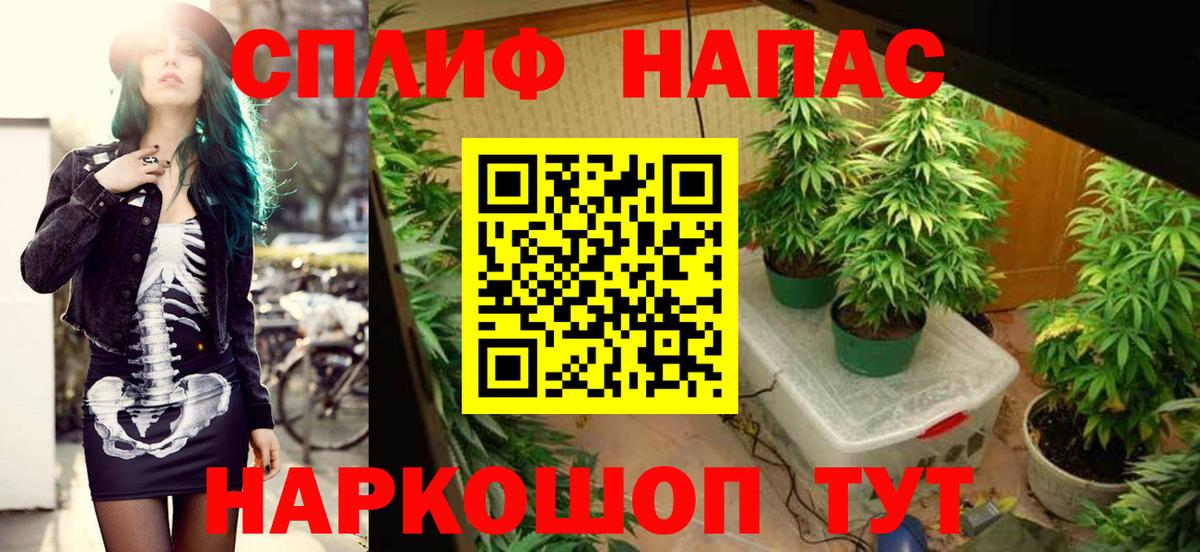 Шишки марихуана индика  Марихуана THC 21%  Вход с VPN  Бошки Шишки гибрид  Шишки марихуана марихуана  Каспийск 